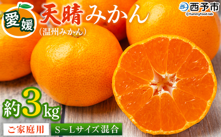 ＜愛媛県明浜産 天晴みかん（温州みかん）約3kg S～L混合＞ 家庭用 訳あり ワケアリ 果物 くだもの フルーツ ミカン 柑橘 特産品 笑丸 愛媛県 西予市【常温】『2026年11月中旬～2027年1月上旬迄に順次出荷予定』AAN0006