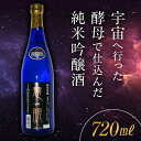 【ふるさと納税】《数量限定》＜宇宙酵母使用酒＞ 慧眼 純米吟醸酒 (720ml) 純米吟醸 日本酒 お酒 酒 アルコール 栄川酒造 オリジナル酵母 宇宙 限定 贈り物 ギフト F4D-0217