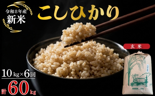 【令和8年産先行予約】【定期便 6ヶ月】こしひかり 玄米 10kg 計60kg
