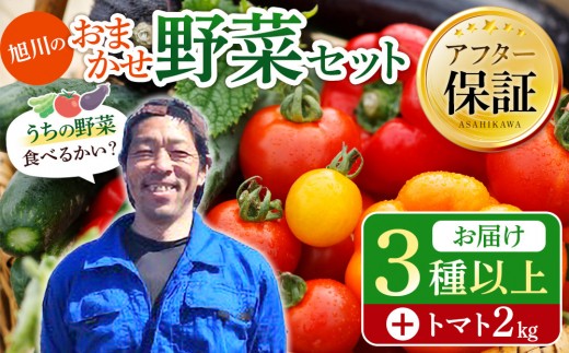 
                  【先行予約】旭川のおまかせ野菜セット(トマト2kg＋3種以上)(2026年7月下旬発送開始) 【おまかせセット 野菜セット 野菜詰め合わせ トマト カラーピーマン キュウリ ズッキーニ スナップエンドウ ナンバン パプリカ インゲン ブロッコリー トマト とまと tomato TOMATO 新鮮 北海道 旭川市 】 _05910
                