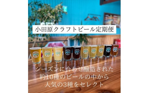 季節限定　小田原クラフトビール3種×各2本　【定期便：3カ月に1回 計4回お届け】   クラフトビール・地ビール【 ビール お酒 神奈川県 小田原市 】 142069_HP004