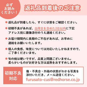 【先行予約】長野市川中島の桃農家を応援プロジェクト  2025年配送！桃6キロ以上  ※クレジット限定