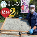 【ふるさと納税】高評価☆4.81 訳あり しらす干し 国産 1kg × 2 計 2kg 逸品 釜茹で 不揃い しらす 鮮度抜群 三河しらす 塩分控えめ まろやかな味 やみつき ご飯のお供 おつまみ 酒の肴 おやつ しらす丼 サラダ 海産物 冷凍 お取り寄せ グルメ 食品 愛知県 碧南市 送料無料