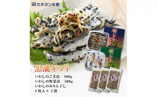 
いわし 黒潮セット 漬魚 みりん干し おかず おつまみ つまみ 海鮮 魚介 魚介類 加工食品 醸造酢 生姜 唐辛子 黒煎りごま 人気の一品 酒の肴 [№5743-0108]
