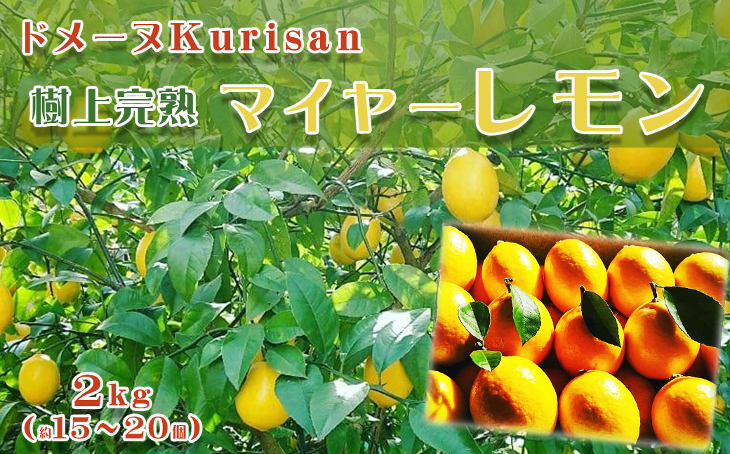 
【数量限定】ドメーヌKurisanの『マイヤーレモン』２kg（約15～20個）　[0011-0031]
