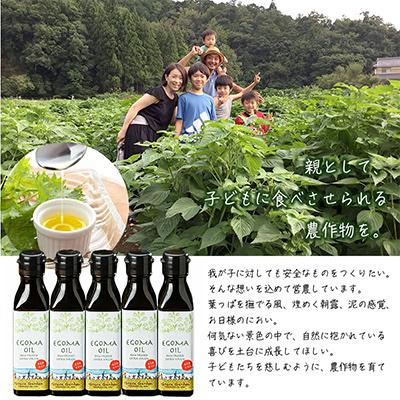 ふるさと納税 舞鶴市 混ざり物なしのエゴマ油3本セット【京都産100%】 |  | 03