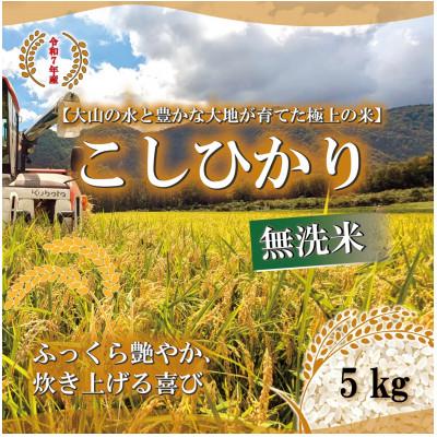 ふるさと納税 伯耆町 令和7年 鳥取県産　山崎農園こしひかり無洗米5kg