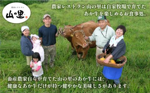 【NHKあさイチで紹介されました！】生産者直送！GI認証　くまもとあか牛すき焼き・しゃぶしゃぶ用１kg(500g×2パック)