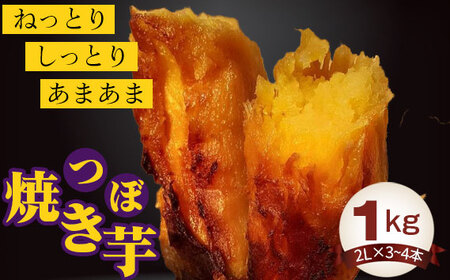 No.394 つぼ焼き芋1kg