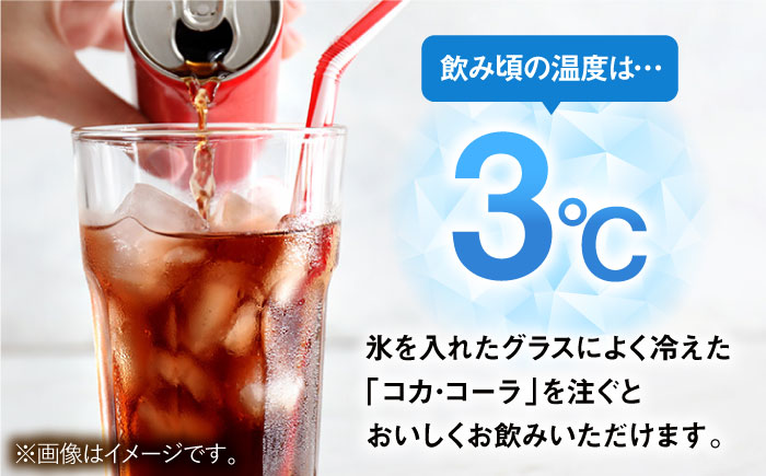 【全2回定期便】コカ・コーラ PET 500ml×24本 / 炭酸飲料 コーラ ジュース / 佐賀県 / コカ・コーラボトラーズジャパン株式会社 [41AFAO047]