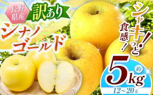 【2026年先行予約】訳あり シナノゴールド 約5kg ｜ 浅野農園 リンゴ りんご 林檎 果物 くだもの フルーツ 果実 果汁 シナノゴールド 訳あり 長野県 松川村 信州