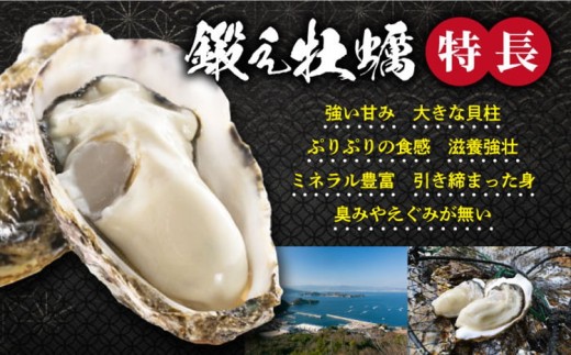 【3月31日（水）着】生牡蠣 むき身 500g 江田島市／有限会社寺本水産 [XAE001-060]