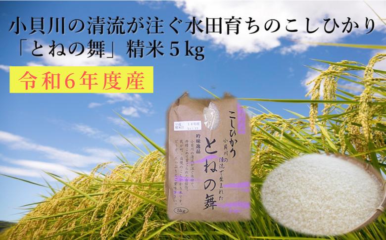 
            米 コシヒカリ「 とねの舞 」　精米 5kg ／ お米 こめ コメ
          