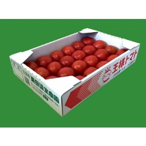 栗田温室農園の王様トマト(4kg箱)農林水産大臣賞受賞!【1343319】