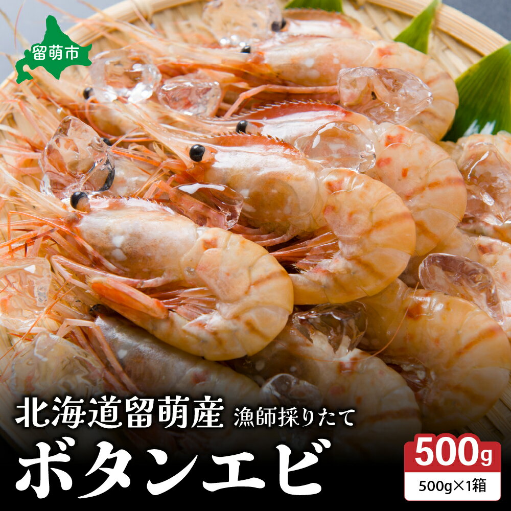 【ふるさと納税】漁師採りたて ボタンエビ 500g 北海道留萌産 ボタンえび ぼたんえび ボタン海老 えび エビ 海老 お刺身 刺身 塩焼き 塩ゆで 天ぷら 海鮮 魚介 魚介類 北海道 留萌 留萌市