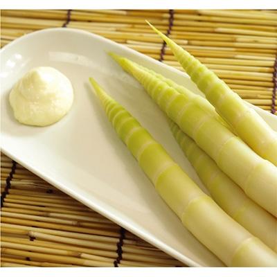 ふるさと納税 稚内市 天然根曲がり竹2kg |  | 02