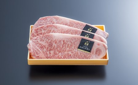 おおいた和牛 サーロイン ステーキ (200g×3枚) | 豊後高田市 ステーキ