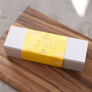 淡路島なるとオレンジバターケーキ 2本セット 山本満月堂 洋菓子 ケーキ おやつ お菓子 オレンジ 兵庫県 洲本市 淡路島