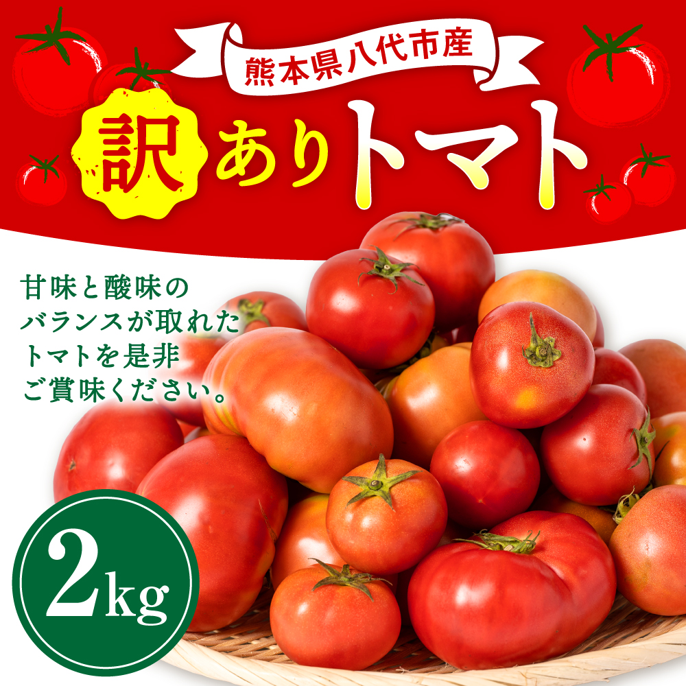 【先行予約】 【訳あり】 八代市産 規格外トマト 2kg 熊本県 トマト 野菜【2024年11月下旬より順次発送】