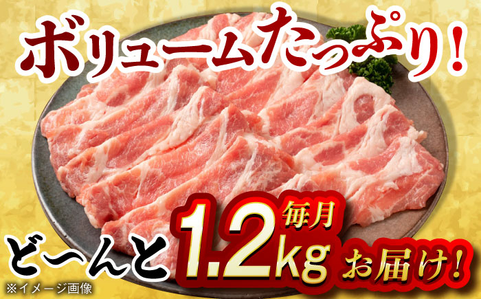 肉 豚 ぶた ブタ 豚肉 小分け 西海市 長崎 九州