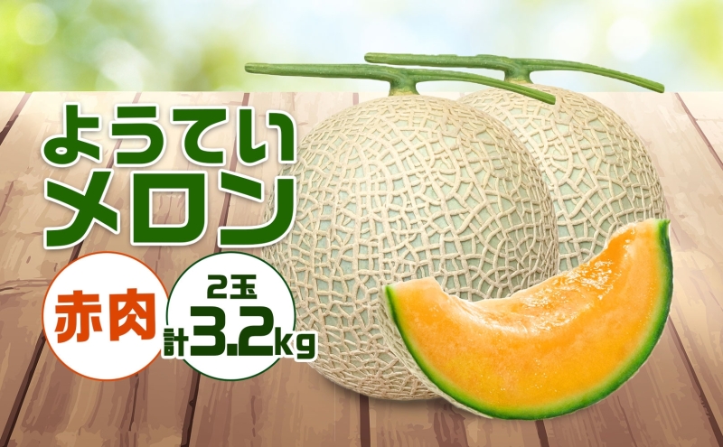 【 2025年発送 】先行予約 北海道 赤肉メロン 約1.6kg 2玉 メロン 赤肉 果物 フルーツ 甘い 完熟 スイーツ デザート 産直 国産 贈答品 お祝い ギフト羊蹄山 JAようてい