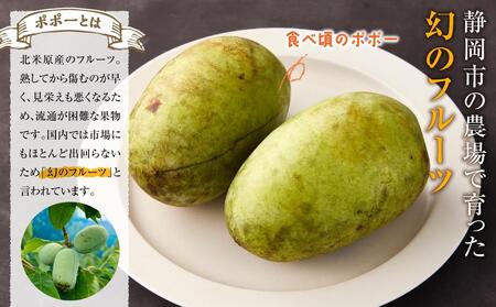 【2025年9月中旬頃より発送】ポポー 約1kg【受取日事前打合せ可能な方限定】【配送不可：離島】幻の果実 レア フルーツ ポポー 健康 美容 美肌 ファーム池の沢 静岡市