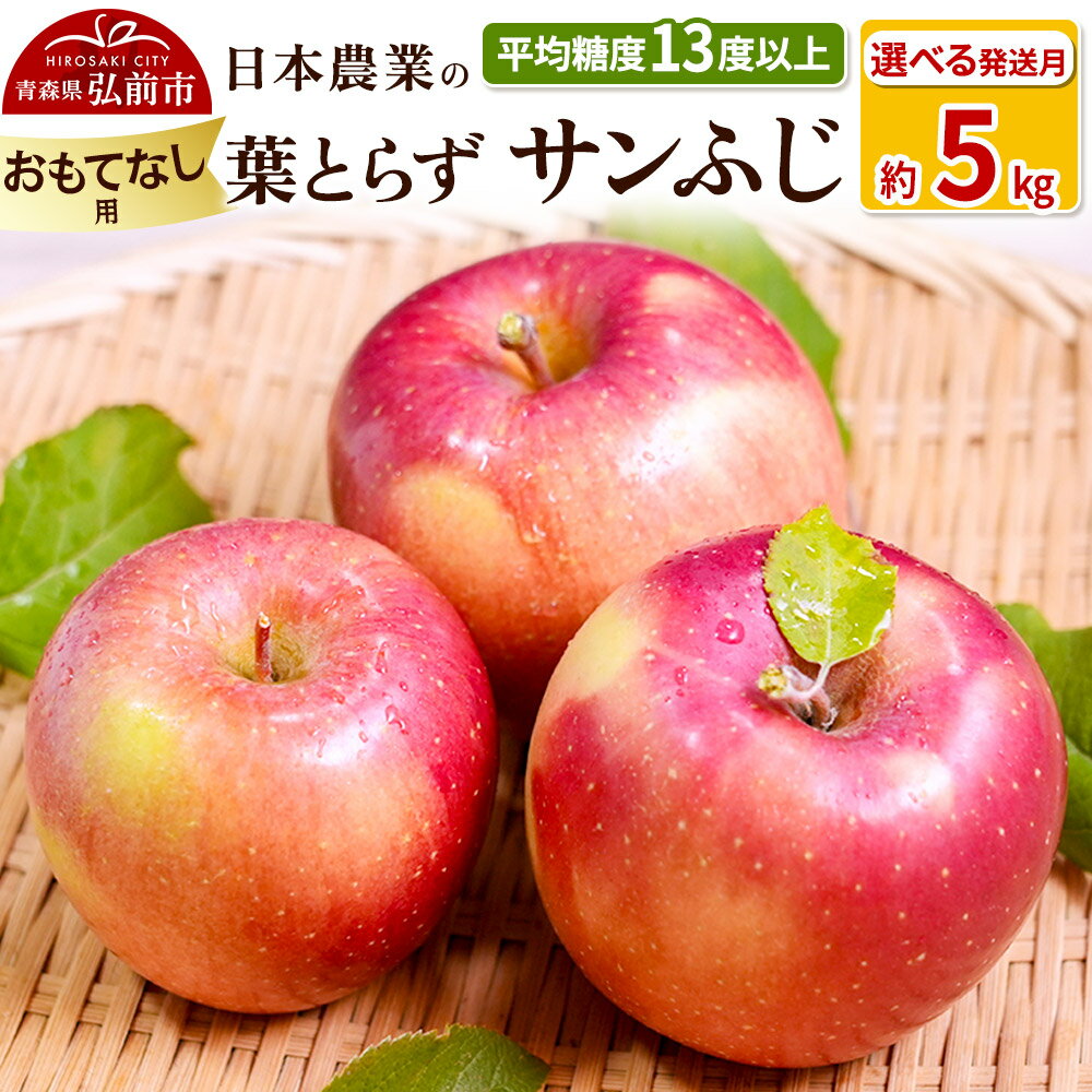 【ふるさと納税】りんご 【先行受付】平均糖度13度以上！ 葉とらずサンふじ 約5kg おもてなし用【選べる発送月】