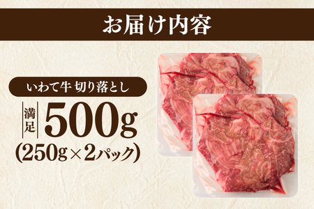 ＼3ヶ月連続 定期便／ 切り落とし 肉 牛肉 小分け 真空冷凍 いわて牛 500g (総計 1,500g) 岩手県産 和牛 牛肉 黒毛 和牛 切り落とし肉 大容量 肉 すき焼き 肉じゃが 煮込み 煮物