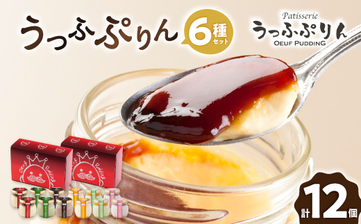 うっふぷりん6種セット　12個入_デザート スイーツ プリン ぷりん 元祖カラメルソース 宇治抹茶 バローナチョコ プレーン 春摘みいちごミルク カリフォルニアピスタチオ 大阪府 茨木市 送料無料 贈答 ギフト【1259527】