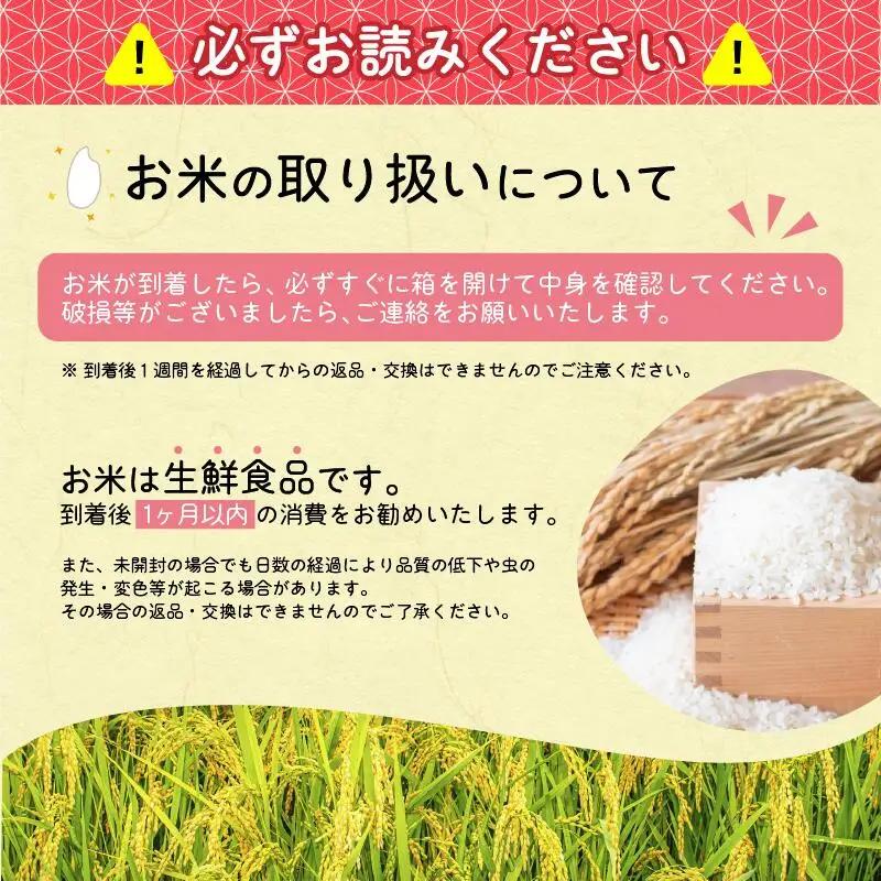 【〈隔月〉2026年12月中旬開始】《先行予約》【令和8年産 3回定期便】はえぬき 合計30kg（10kg×3回）清流寒河江川育ち 山形産はえぬき 山形県産 2026年産 精米 30キロ 　069-C