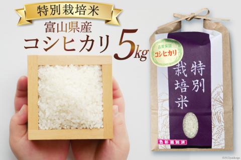 【期間限定発送】 米 令和6年 特別栽培米 コシヒカリ 精米 5kg [マッキーファーム 富山県 朝日町 34310317] お米 白米 こしひかり 美味しい 農家 直送