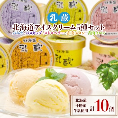 
＜2ヵ月毎定期便＞「乳蔵」北海道アイスクリーム5種10個〈110130〉全3回【4013520】
