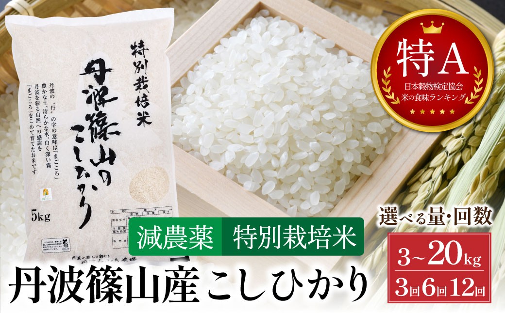 
                  【定期便・新米8年産】特Aランク 特別栽培米 コシヒカリ 3kg 5kg 10kg 20kg（全 3回 6回 12回）│  兵庫県 丹波篠山市 白米 100％単一原料米 産地直送米 おいしい お米 精米 コシヒカリ ブランド おこめ
                