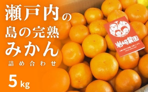 [予約] 12月発送 瀬戸内の島の完熟みかん詰め合わせ 約5kg 広島県 大崎上島町 濃厚 柑橘 セット 贈答 ギフト せとうち