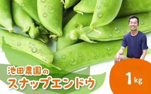 先行予約＼シャキシャキ プリプリ／ 採れたて スナップエンドウ 1kg 令和8年産 飛騨産 国産 スナップえんどう 旬 旬もの 産地直送 野菜【2026年6月上旬～6月下旬発送】飛騨市 池田農園 10000円 1万円 [Q2944.Q2945]