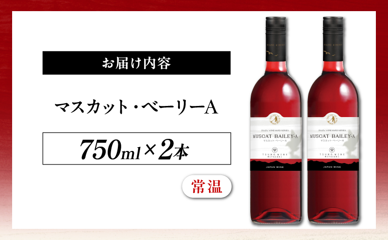 マスカット・ベーリーA 2本セット_T014-0545【人気 ギフト 飲料 食品 お酒 お土産 贈り物 送料無料 プレゼント  ワイン 酒 飲料 アルコール 国産】