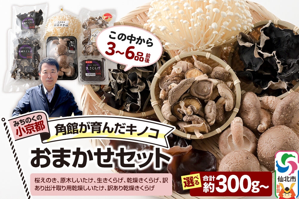 
                  みちのくの小京都・角館が育んだ「おまかせセット」（桜えのき、原木しいたけ、生きくらげ、乾燥きくらげ、訳あり出汁取り用乾燥しいたけ、訳あり乾燥きくらげ）【選べる容量 合計約300g(3品前後)／約700g(6品前後)】 [えのき エノキ しいたけ 椎茸 シイタケきくらげ 木耳 キクラゲ 園主おすすめ 生 乾燥 出汁 訳あり 秋田県 仙北市 角館]きのこ詰合わせセット
                