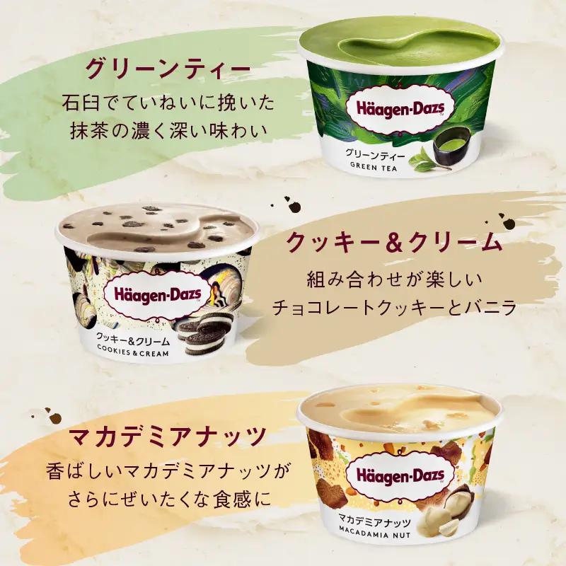 ハーゲンダッツ『定番ミニカップ12個』アイス アイスクリーム スイーツ 北海道_H0016-111