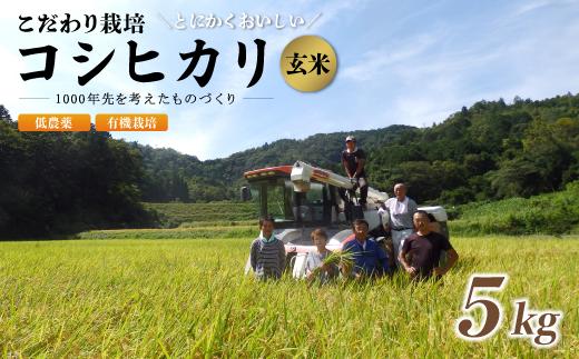 【R7年度 新米先行予約】 京都府産 低農薬 有機栽培コシヒカリ玄米 5kg【 米 5キロ 玄米 こめ コメ お米 おこめ こしひかり 食物繊維 栄養 真空パック 井上吉夫 米農家 有機栽培米 有機栽培 農家直送 減農薬 綾部市 京都府 】