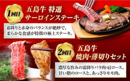【6回定期便】大満足！五島牛 ファミリー特撰コース 五島市/五島市ふるさと納税[PZX029]