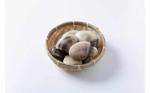 天然 活はまぐり 100-140gサイズ 約1.5kg 活 はまぐり 蛤 砂抜き 冷蔵 九十九里産 魚介 魚貝 魚介類 海鮮 貝 貝類 出汁 だし 味噌汁 酒蒸し グラタン 九十九里浜 お祝い 祝い ひなまつり 節句 おせち 贅沢 人気 おすすめ 贈答 ギフト お取り寄せ 株式会社丸六 旭市 千葉県 mrk001