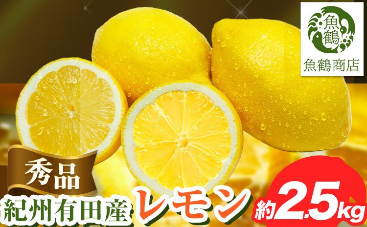 
            【先行予約】【秀品】紀州 有田産 レモン 約 2.5kg 魚鶴商店《3月上旬-3月中旬頃出荷》和歌山県 日高町 柑橘 レモン れもん lemon remon 果物 有田 はちみつレモン
          