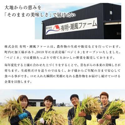 ふるさと納税 上峰町 令和7年産さがびより　5kg(上峰町) |  | 03