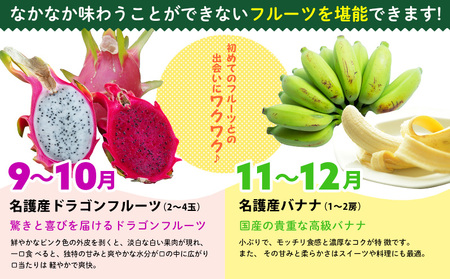 フルーツ定期【名護パイン園】旬の南国フルーツ定期便（6回コース）