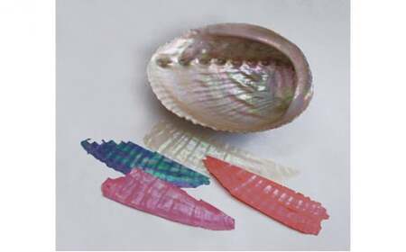 100丸盆　枝梅（貝入）朱