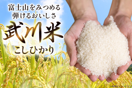 【数量限定】 米 定期便 3回 令和8年産 こしひかり 2kg 山梨県産 武川米 [ヤマエ株式会社 山梨県 韮崎市 20745398]