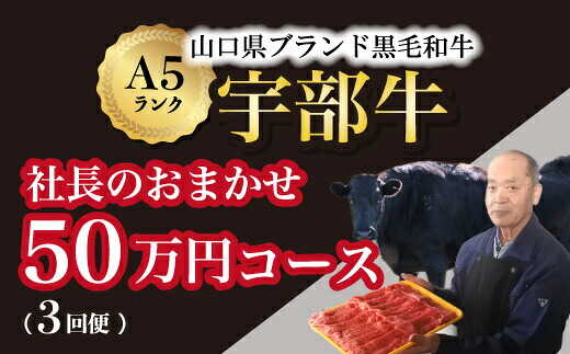【ふるさと納税】【宇部牛】 (定期便 3回便) 社長おまかせプレミアム ＜ 50万円コース ＞黒毛和牛A5ランク 宇部牛 山口県 宇部市 こだわり ブランド 希少部位 骨付き 焼肉 すき焼き BBQ しゃぶしゃぶ ステーキ お祝い クリスマス お誕生日[BTAJ018]