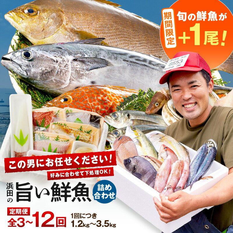 【ふるさと納税】【期間限定特集】【総合評価4.70獲得！鮮魚屋にお任せ！大満足の定期便】【定期便】 この男の目利き！～浜田の旨い鮮魚お届けコース～【3回 4回 6回 12回】＋旬の鮮魚1匹（初回のみ） 定期便 セット 海鮮セット 海鮮 鮮魚 セット