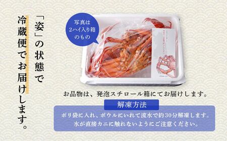 【先行予約】【2024年3月以降順次発送】日本海沖産 紅ズワイガニ500g前後×2匹 約1.0kg/冷凍【安田水産】