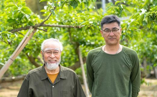 ［梅干・梅酒用］小粒（SまたはM−3Kg）熟南高梅＜2026年6月下旬〜7月中旬発送予定＞フルーツ 果物 くだもの 食品 人気 おすすめ 送料無料［ART20］